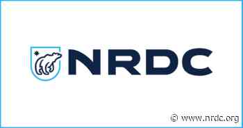 Forest Biopower is Far From Carbon Neutral - NRDC (Natural Resources Defense Council)