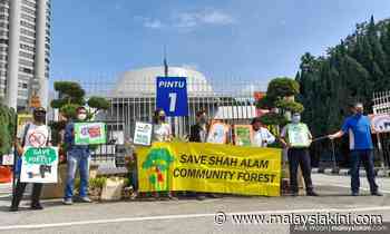 Activists demand meeting with Hee to clarify Bukit Cherakah forest status - Malaysiakini