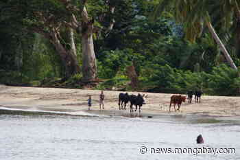 To predict forest loss in protected areas, look at nearby unprotected forest - Mongabay.com