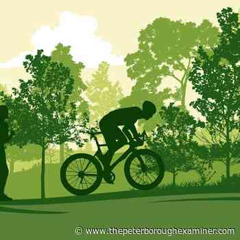 Northumberland welcomes public input on plan for county forest - ThePeterboroughExaminer.com