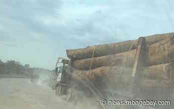 Mixed signals from Gabon officials to villagers fighting to save a forest - Mongabay.com