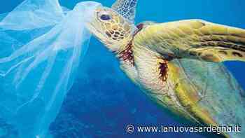 L’ala di Luna Rossa per il mare sardo - La Nuova Sardegna