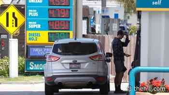 White House weighing steps to address gas shortages