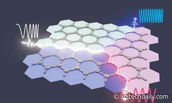 Topological Circuits That Force Photons To Never Bounce Back