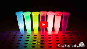 Molecular Information Storage: Storing Data As Mixtures of Fluorescent Dyes