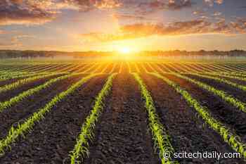 Growing Climate Solutions: Climate-Smart Agriculture