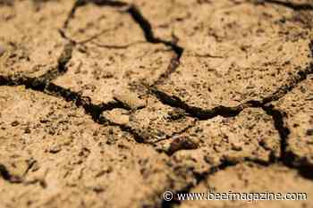USDA tool estimates compensation for drought-stricken ranchers