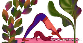 Let’s Talk About the Elk