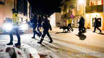 Multiple people killed in suspected bow and arrow attack in Norway