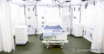 11 COVID-19-related deaths reported in Saskatchewan