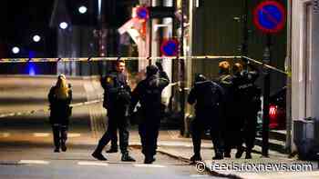 Norway police say man with bow and arrow kills several people, others injured
