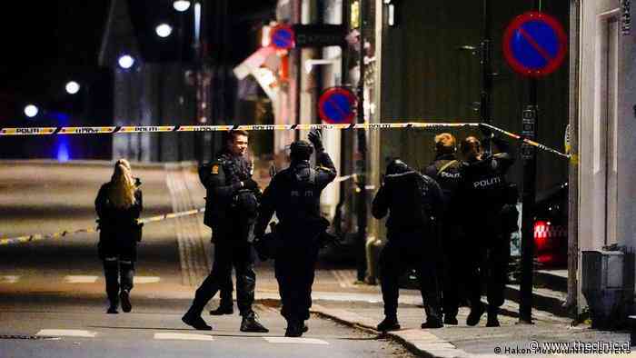 Conmoción en en Noruega: hombre mató a varias personas en ataque con arco y flechas