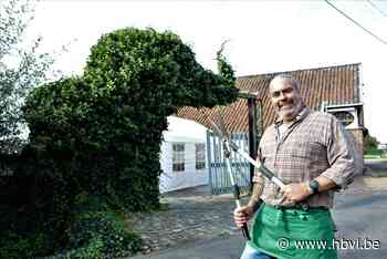 Na een hele zomer snoeien heeft Wellenaar Gert nu een olifant in zijn tuin - Het Belang van Limburg