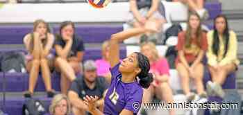 Springville volleyball collects county and area wins | The St. Clair Times | annistonstar.com - Anniston Star