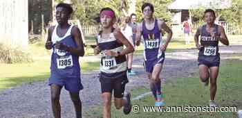 Springville hosts first invitational, boys team finishes second - Anniston Star