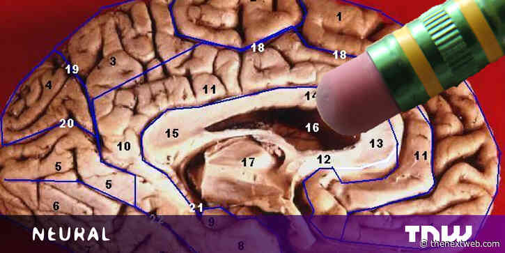 Scientists may have discovered a way to make us forget bad memories