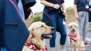 Der Malteser Hilfsdienst baut in dem Landkreis Dachau einen Dienst weiter aus - Merkur Online