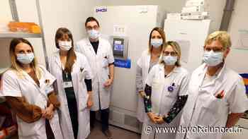 La pharmacie du centre hospitalier d'Arras, discrète mais essentielle plaque tournante de la vaccination - La Voix du Nord