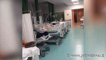 La sanità dei numeri e quella della qualità. Da Solofra passando per Curteri - Prima Tivvù