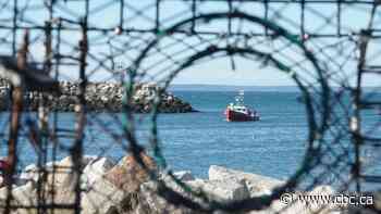 4 Mi'kmaw bands launch moderate livelihood fisheries with DFO approval