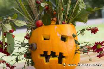 Buntes Ferienprogramm in Mittelsachsen - Freie Presse