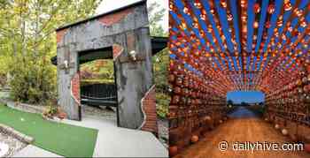 8 family friendly Halloween events in and around Calgary | Listed - Daily Hive