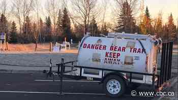 Bear and cub spotted in southwest Calgary, police say - CBC.ca