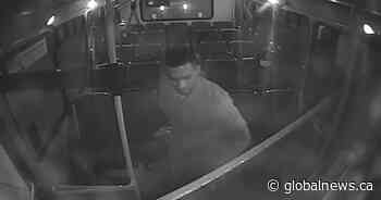 Calgary police release surveillance video in hopes of identifying sexual assault suspect - Global News