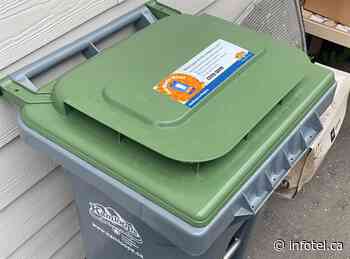 'We had no say': Not everyone pleased with Kamloops curbside organic waste pilot | iNFOnews | Thompson-Okanagan's News Source - iNFOnews