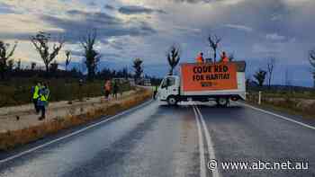 Climate protesters block access to chip mill in southern NSW