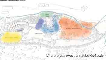 Schweizer Wiese in Bad Herrenalb: Investor: Zeitfenster nicht ewig offen
