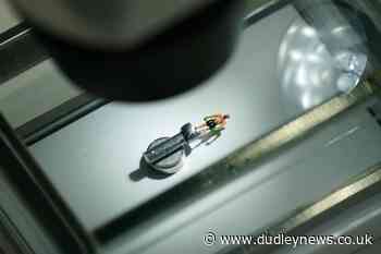Tyson Fury microsculpture goes on display on head of nail - Dudley News
