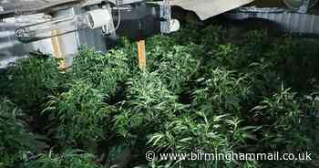 Third cannabis factory discovered by cops in area in a week - Birmingham Live