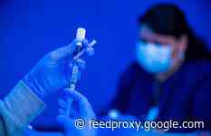 The Vaccine Project Newsletter: Still on the fence?