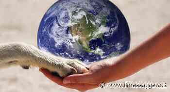 “Persone, animali e ambiente. One Health: un patto di comunità” il 14 ottobre a Palazzo Santa Chiara a Roma - ilmessaggero.it