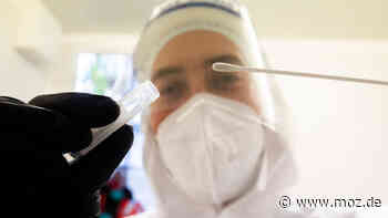 Corona aktuell: Stabile Inzidenz der Region zwischen Falkensee und Rathenow – nur wenige Neuinfektionen im Havelland - moz.de