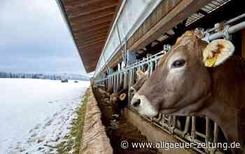 Bauernhofmuseum Illerbeuren: Neue Ausstellung über Wandel in der Landwirtschaft - Allgäuer Zeitung