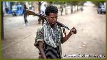 Ethiopia's call to arms in Tigray conflict: bury the enemy - The Times