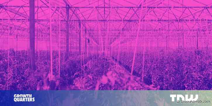 3 simple (but difficult) steps to grow your startup ecosystem