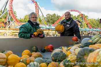 Garage und Zauberwald: Neuer Grusel im Freizeitpark Plohn - Freie Presse