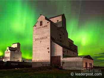 Aurora Borealis puts on a show for Sask. residents - Regina Leader-Post