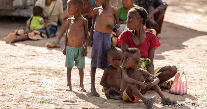 Über 800 Millionen Hungernde weltweit