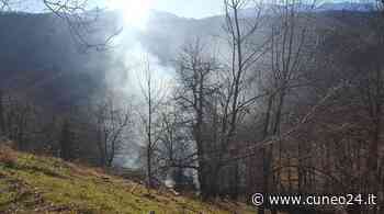 Coldiretti Cuneo "Estendere la deroga di 30 giorni su abbruciamenti vegetali a tutti i Comuni" - Cuneo24 - Cuneo24