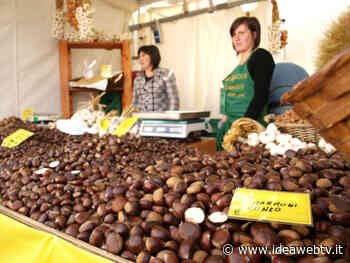 Coldiretti Cuneo: i gusti autentici di Campagna Amica alla Fiera del Marrone - www.ideawebtv.it - Quotidiano on line della provincia di Cuneo - IdeaWebTv