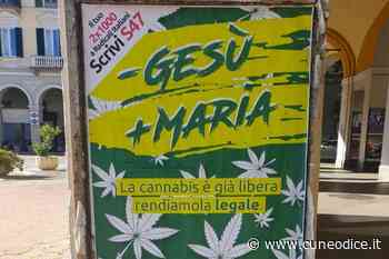 Sabato a Cuneo si raccolgono firme per il referendum sulla cannabis - Cuneodice.it - Cuneodice.it