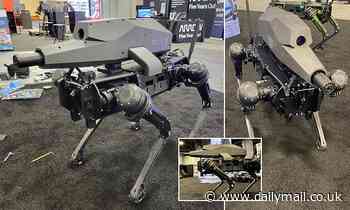 Killer bot? Terrifying robot dog fitted with a 6.5mm sniper RIFLE unveiled at the US Army trade show