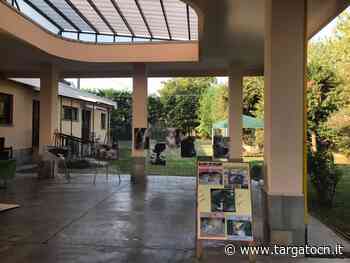 Cuneo e il suo canile, modello di accoglienza, cura e adozione - TargatoCn.it