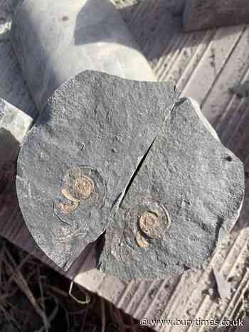 Geologist finds fossils that tell stories of Lancashire's past