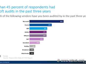 Microsoft king of software audit, according to Flexera report