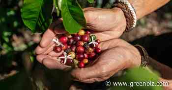 4 sustainability strategy questions food companies should be asking | Greenbiz - GreenBiz